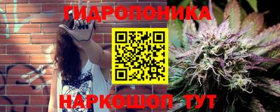 прущие грибы Бугуруслан
