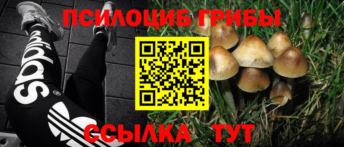 Псилоцибиновые грибы Magic Shrooms Улан-Удэ