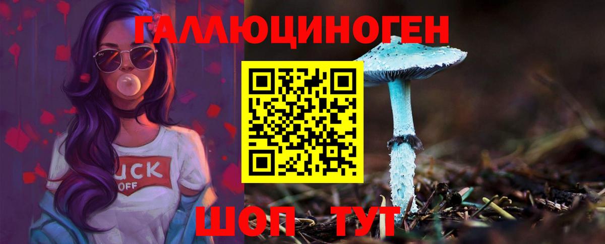 Улан-Удэ  что такое наркотик  Вход с VPN  Псилоцибиновые грибы Cubensis 